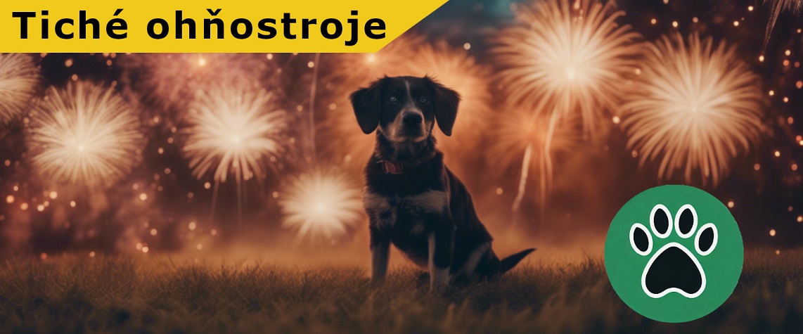 Nabídka tišších ohňostrojů