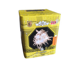 Kompakt Samba & Salsa 25 ran